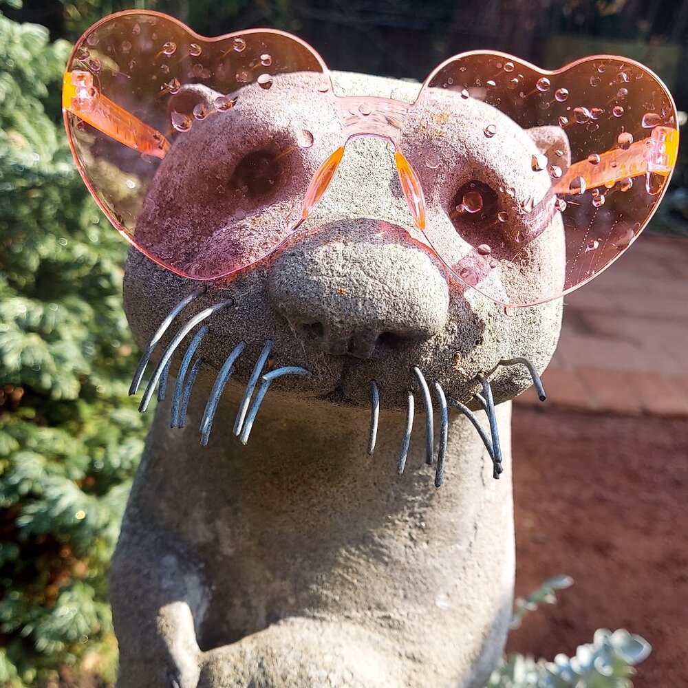 Meet your Posher, Cari